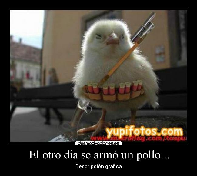 El otro dia se armó un pollo... -
