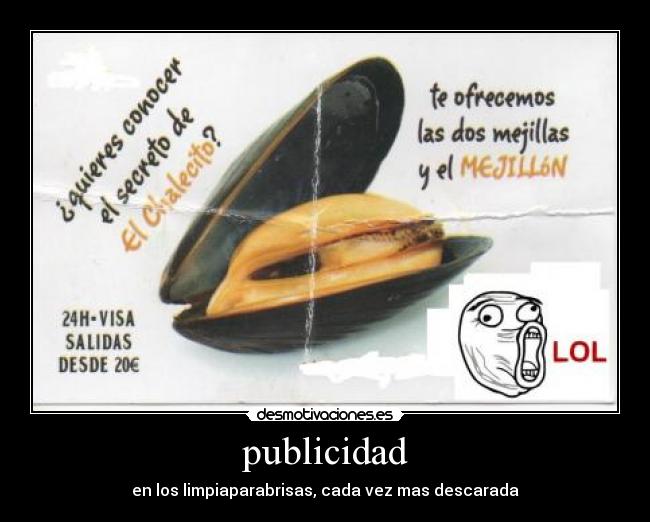publicidad - 