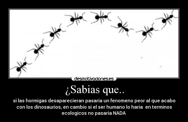 ¿Sabias que.. - 