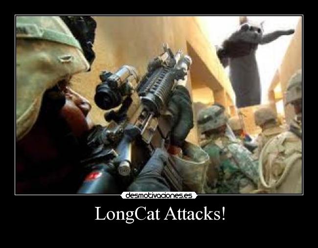 LongCat Attacks! - 