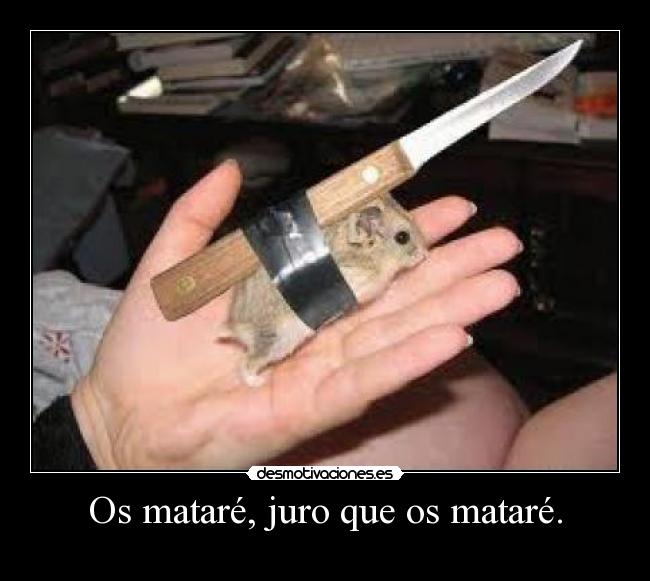 Os mataré, juro que os mataré. - 
