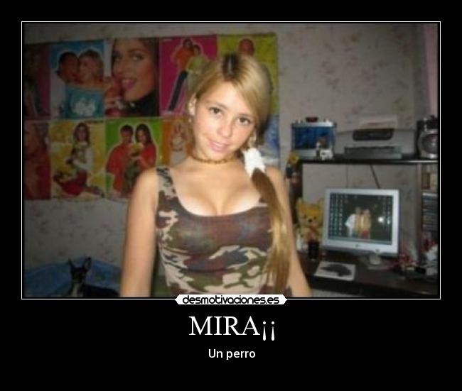 MIRA¡¡ -