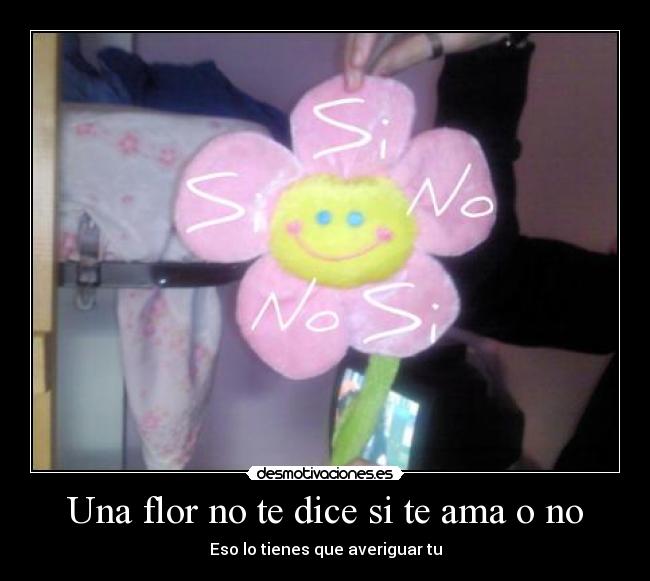 Una flor no te dice si te ama o no -