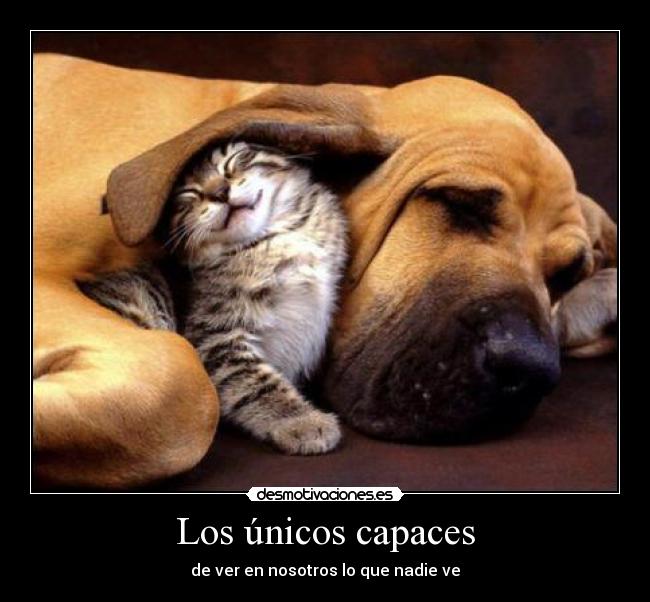 Los únicos capaces - 