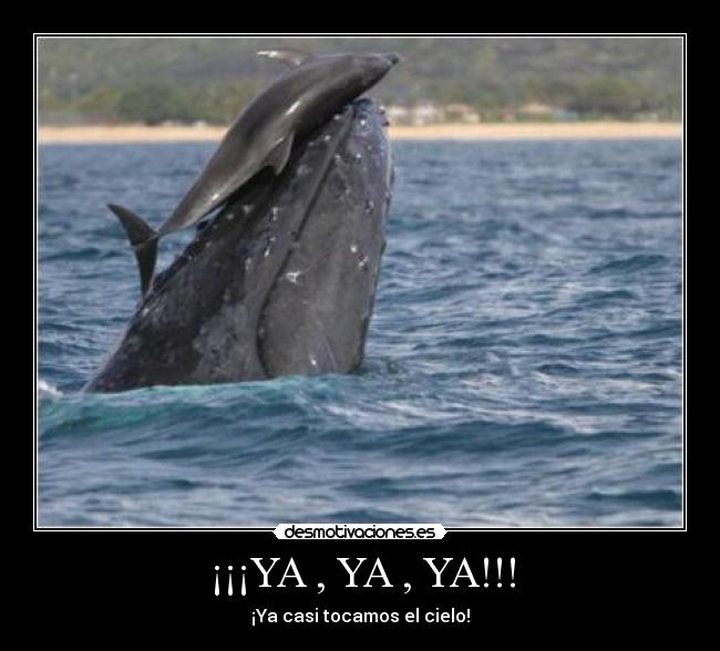 ¡¡¡YA , YA , YA!!! -