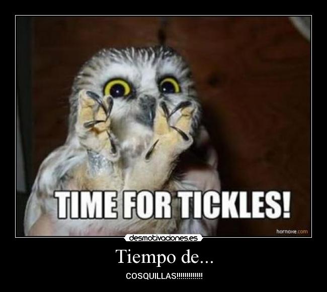 Tiempo de... - COSQUILLAS!!!!!!!!!!!!!