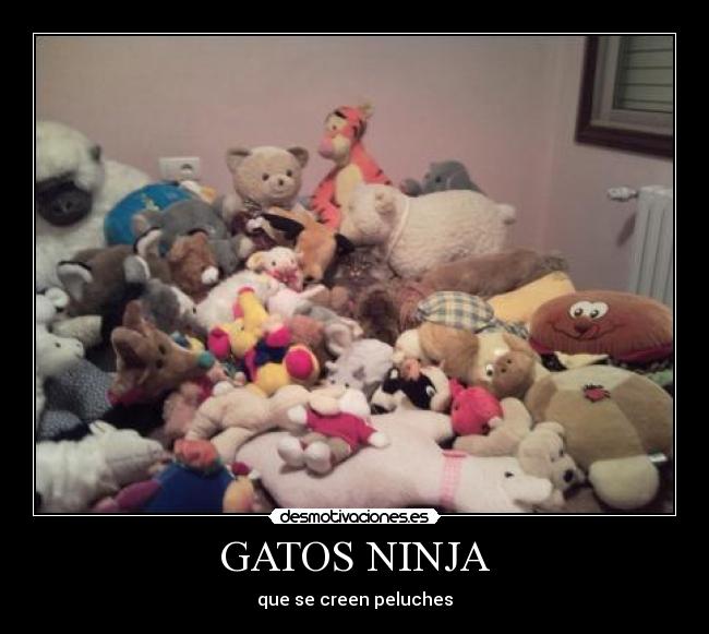 GATOS NINJA -