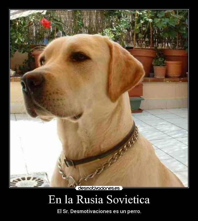 En la Rusia Sovietica - 