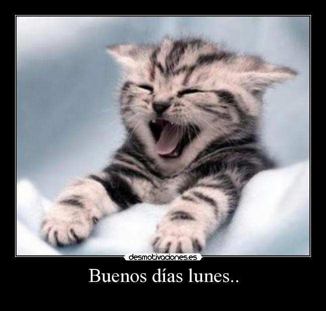 Resultado de imagen de buenos dias lunes