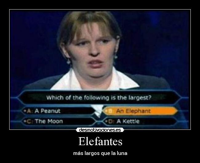Elefantes - 