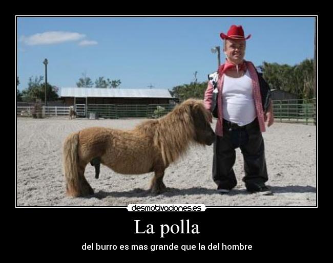 La polla Desmotivaciones