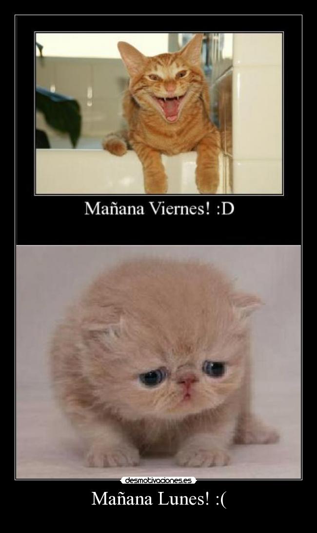 Mañana Lunes! :( - 