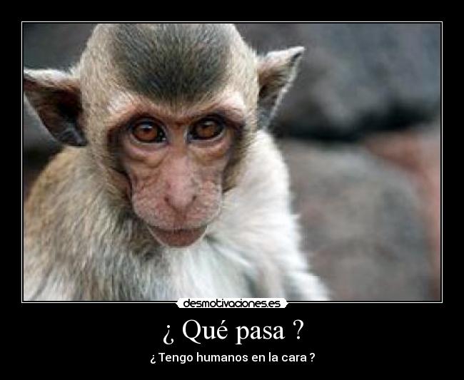 carteles  desmotivaciones