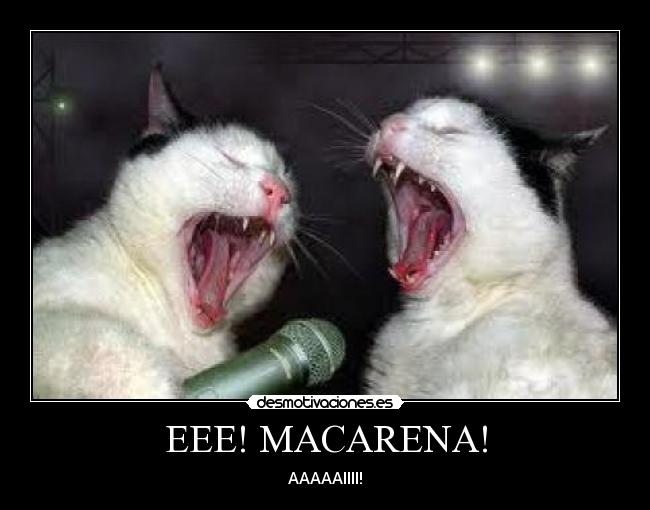 carteles taticaps desmotivaciones