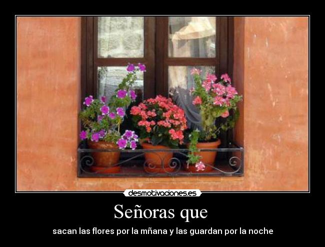 Señoras que  - sacan las flores por la mñana y las guardan por la noche
