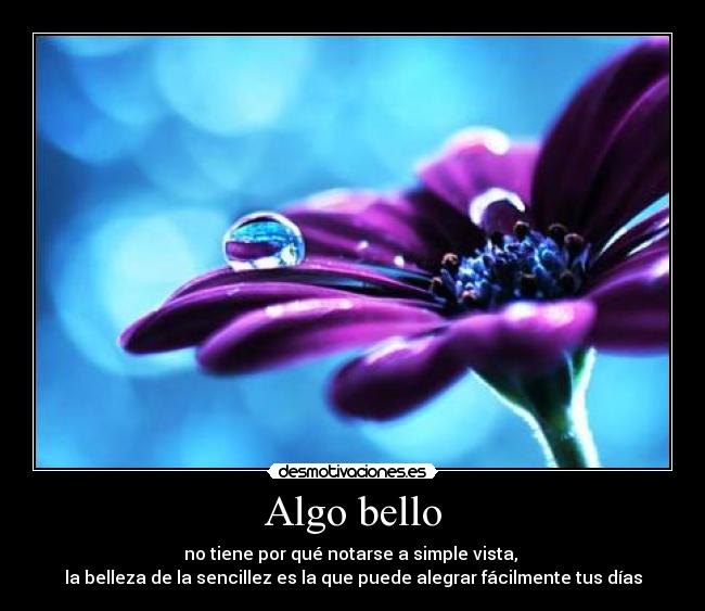 Algo bello -