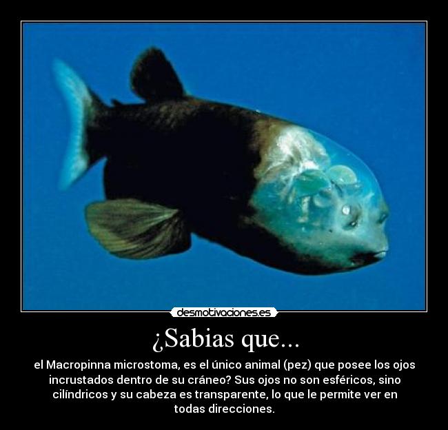 Usuario KameMc Desmotivaciones Usuario KameMc Desmotivaciones