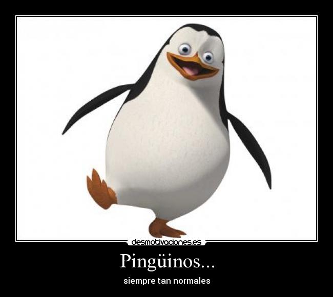 Pingüinos... -