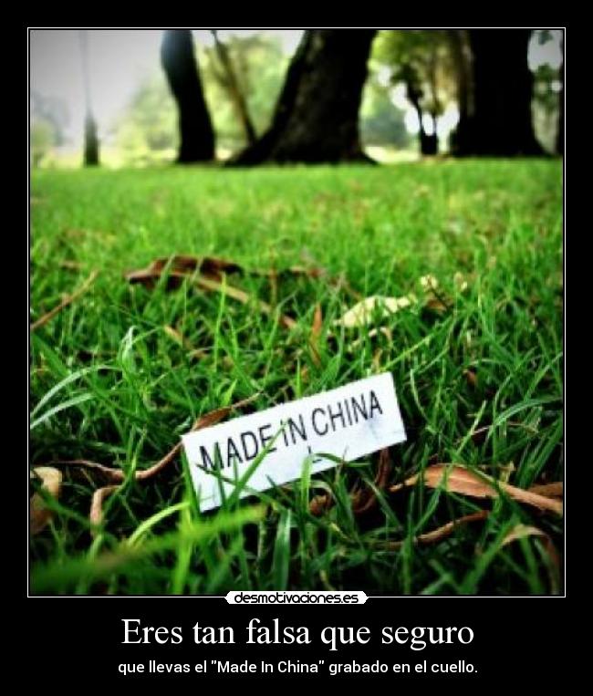 Eres tan falsa que seguro -