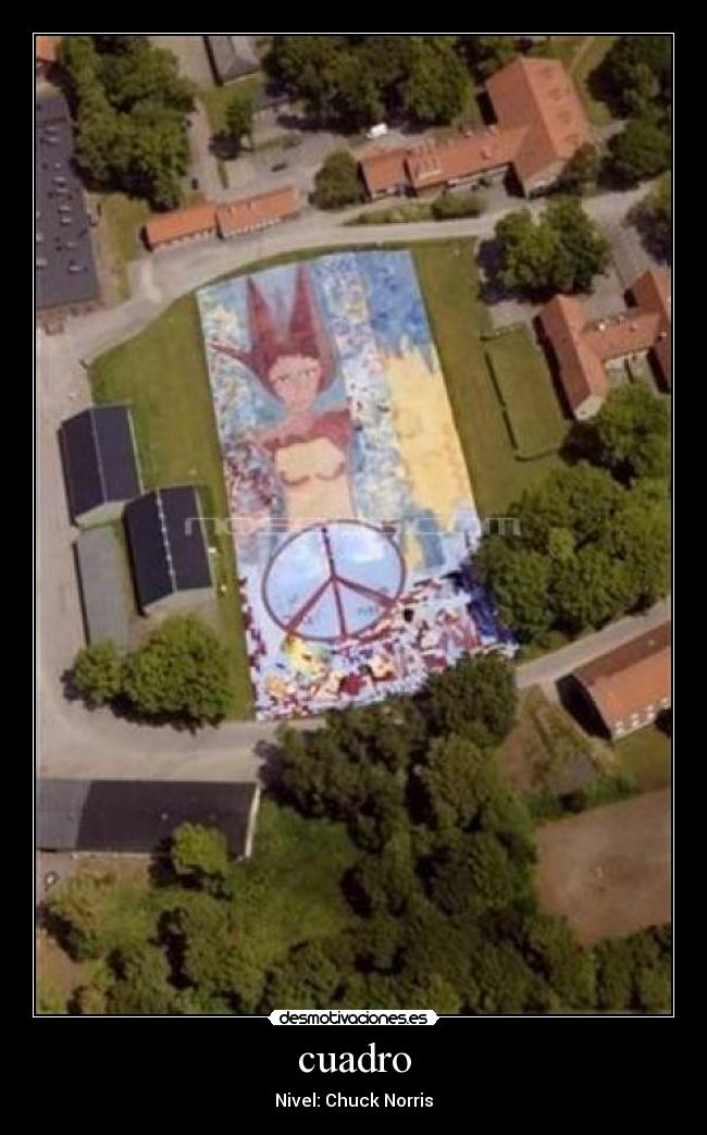 cuadro - Nivel: Chuck Norris