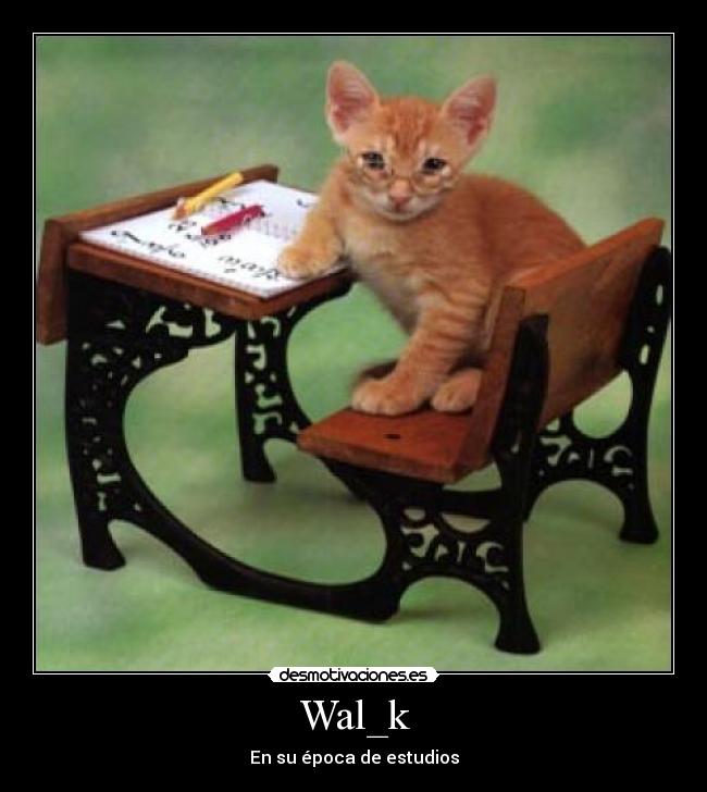 carteles risa desmotivaciones