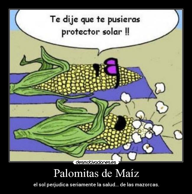 Palomitas de Maíz - 