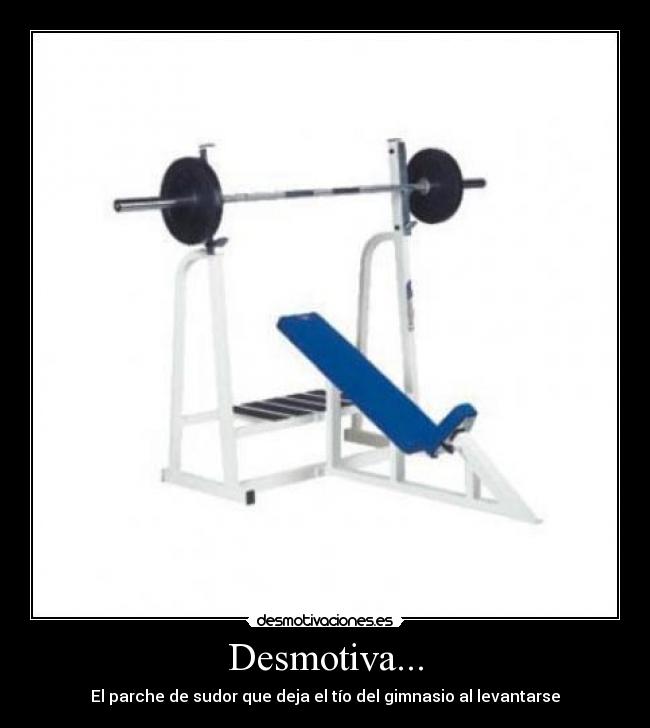 Desmotiva... - El parche de sudor que deja el tío del gimnasio al levantarse