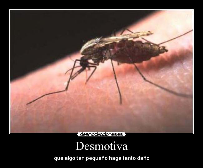 Desmotiva - que algo tan pequeño haga tanto daño