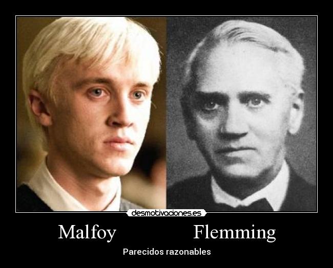 Malfoy Flemming - Parecidos razonables