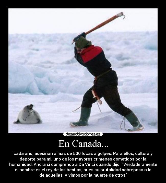 En Canada... -