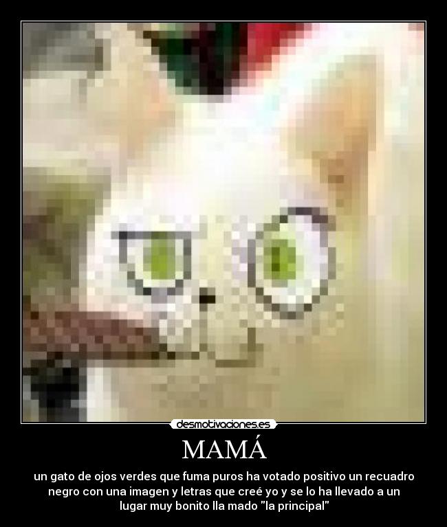 MAMÁ - un gato de ojos verdes que fuma puros ha votado positivo un recuadro
negro con una imagen y letras que creé yo y se lo ha llevado a un
lugar muy bonito lla mado la principal
