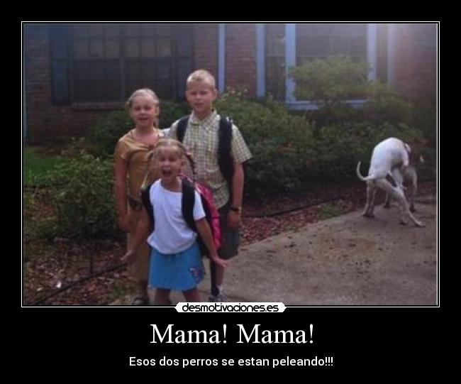 IMAGENES DE PERROS FOLLANDO imagenes de perros follando: