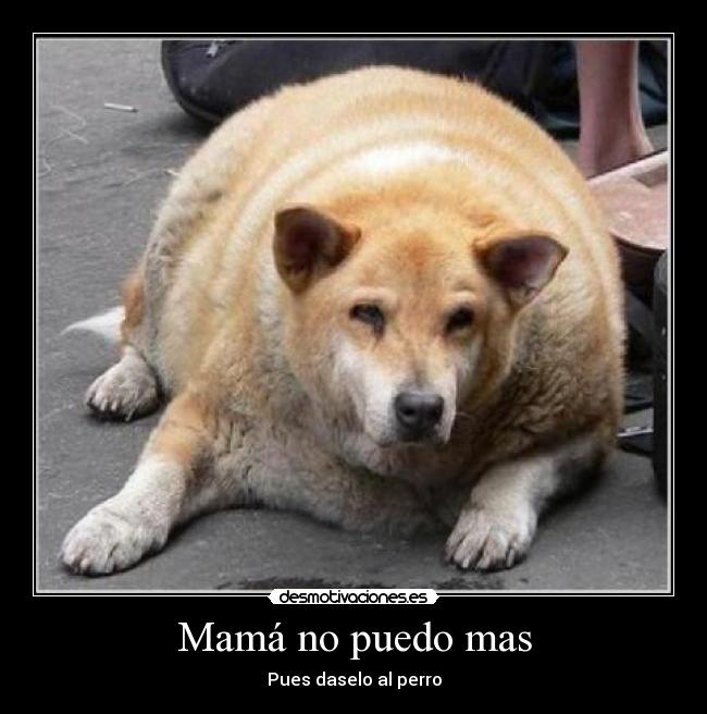 Mamá no puedo mas -