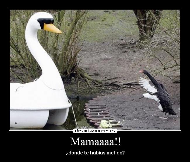 Mamaaaa!! - ¿donde te habías metido?