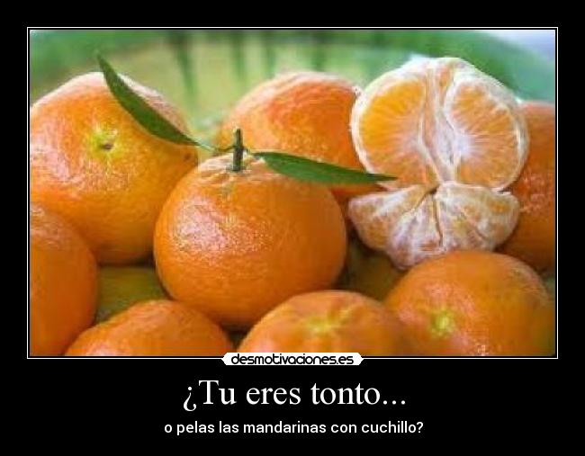¿Tu eres tonto... -