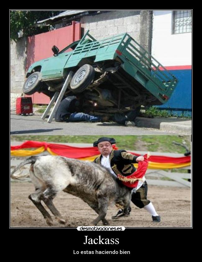 Jackass - 