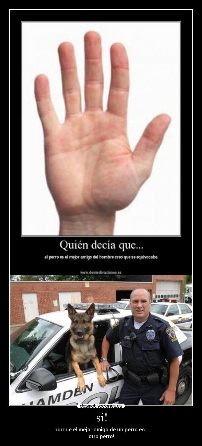 si! - porque el mejor amigo de un perro es...
otro perro!