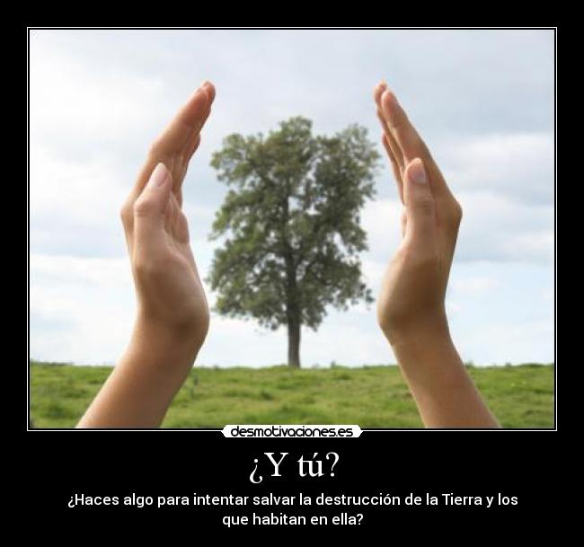 ¿Y tú? -
