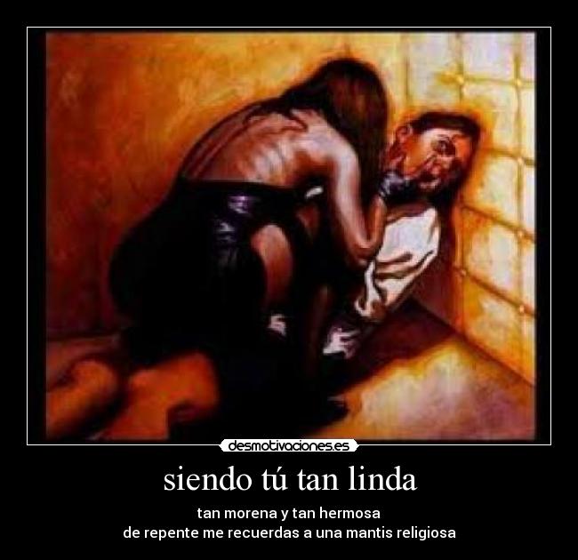 siendo tú tan linda - tan morena y tan hermosa
de repente me recuerdas a una mantis religiosa