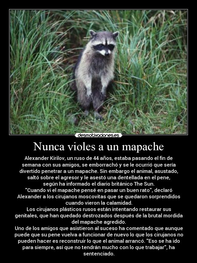 carteles dinory360 desmotivaciones