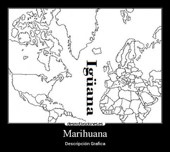 Marihuana - Descripción Grafica