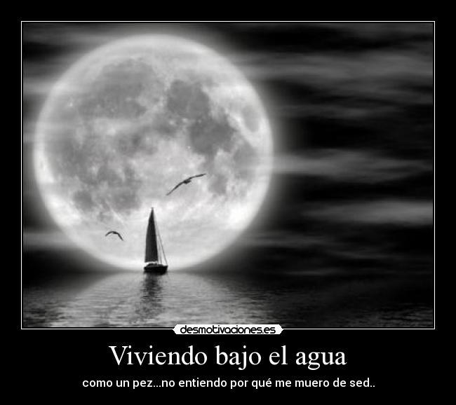 Viviendo bajo el agua - como un pez...no entiendo por qué me muero de sed..