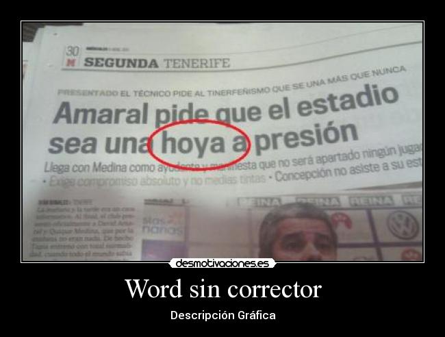 Word sin corrector - Descripción Gráfica