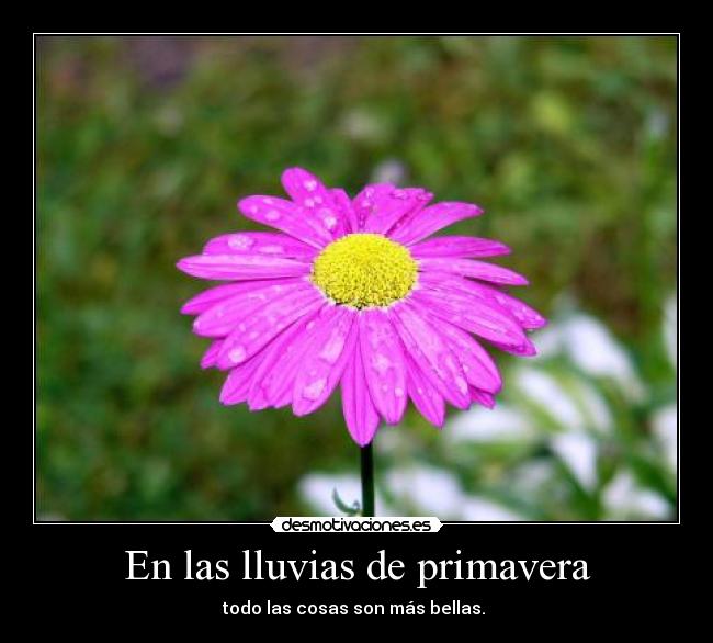 En las lluvias de primavera - todo las cosas son más bellas.