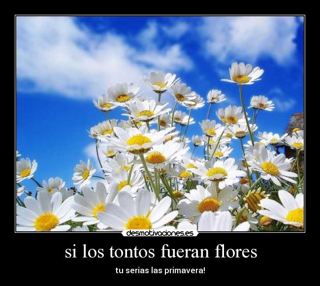 si los tontos fueran flores - tu serias las primavera!