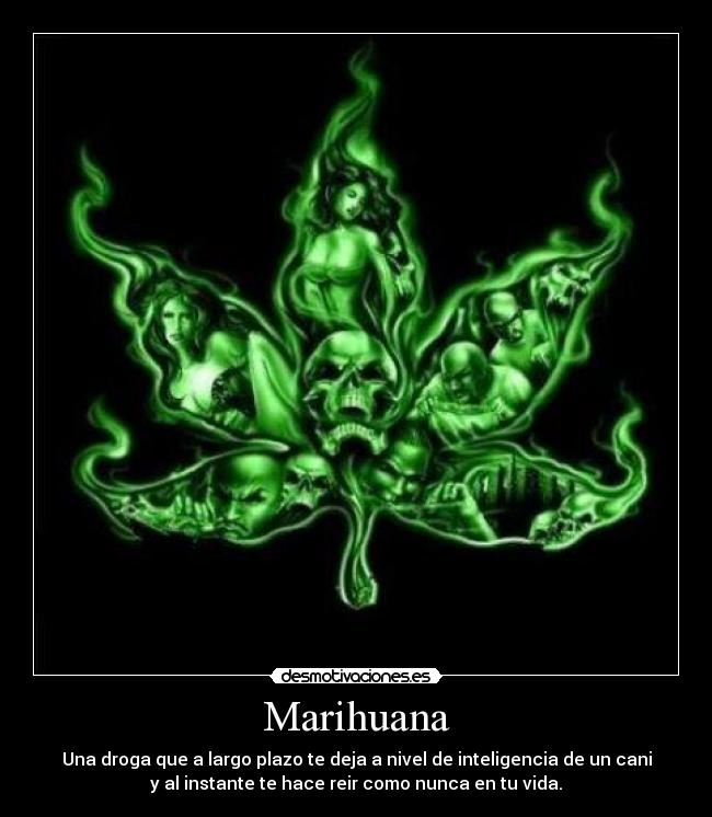 Marihuana - Una droga que a largo plazo te deja a nivel de inteligencia de un cani
y al instante te hace reir como nunca en tu vida.