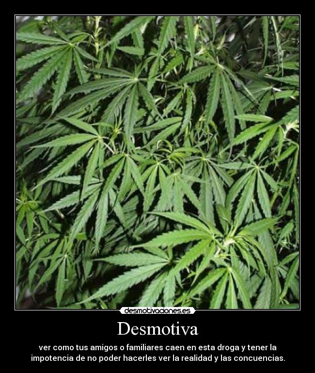 Desmotiva -