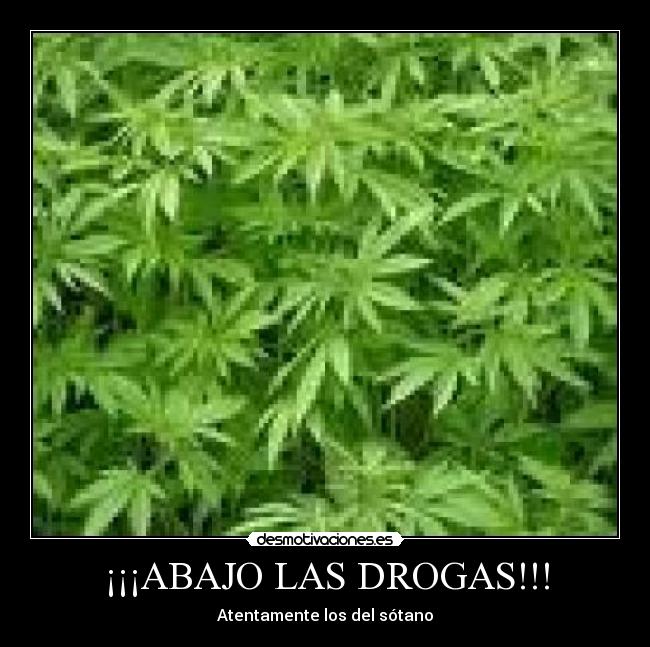 ¡¡¡ABAJO LAS DROGAS!!! - Atentamente los del sótano