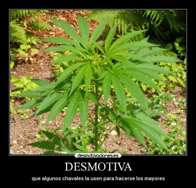 DESMOTIVA - que algunos chavales la usen para hacerse los mayores
