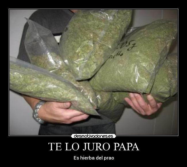 carteles marihuana desmotivaciones